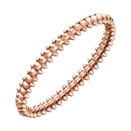 Kaarten Bullet 925 Sterling Silver Compated 18K Rose Gold Willow Nagel Bracelet modieus en veelzijdige lichte luxe armband