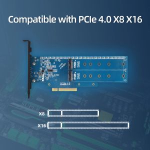 Cartes Dual NVME PCIE Adaptateur, M.2 NVME SSD à PCIE 4.0 X8 / X16 CARDE PRÉPADENCE M.2 (CLÉ M) NVME SSD 2280/2260/2242/2230