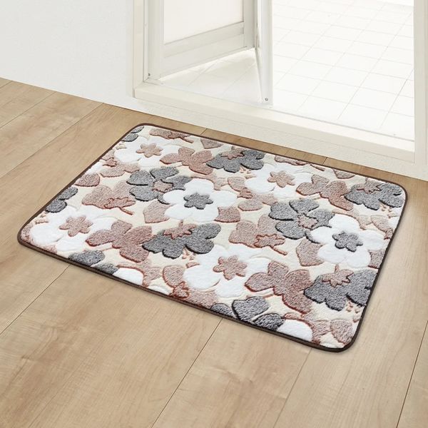 Alfombra Dormitorio Alfombra de piso Entrada de la casa Felpudo Coral Fleece Cocina Baño Decoración de la puerta Baño Ducha Alfombra antideslizante para pies 231207