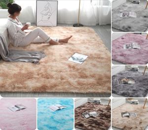 Tapis de tapis Dyeing Tapis doux en peluche pour chambre salon des tapis de plancher anti-aslip