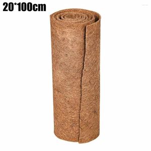 Tapis 1pc drap tapis de coco de coco 20/25 cm porte de plancher coupé pour les paniers suspendus vases terrariums