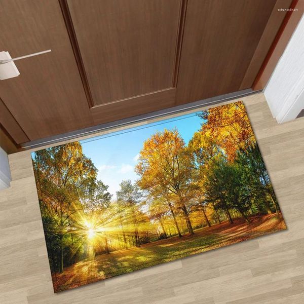 Tapis 3D Porte de bienvenue imprimée Microfibre Microme d'automne Mattes de sol pour motif pittores