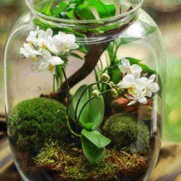 Tapis 4 pcs Fairy Grass Artificial Garden Mini House Decoration Plans Plants For Indoors Miniature Ornement Turf Green Pet Baby