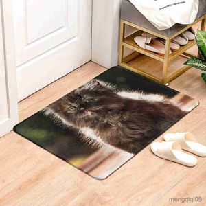 Tapis Animal Tapis Salle De Bains Petit Tapis Tapis De Douche Chat Tapis Décoratif Entrée Porte Tapis Balcon Chambre Tapis Chambre Tapis Baignoire Tapis De Toilette R230728