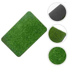 Tapis artificiel graminée tapis de porte verte du plancher extérieur