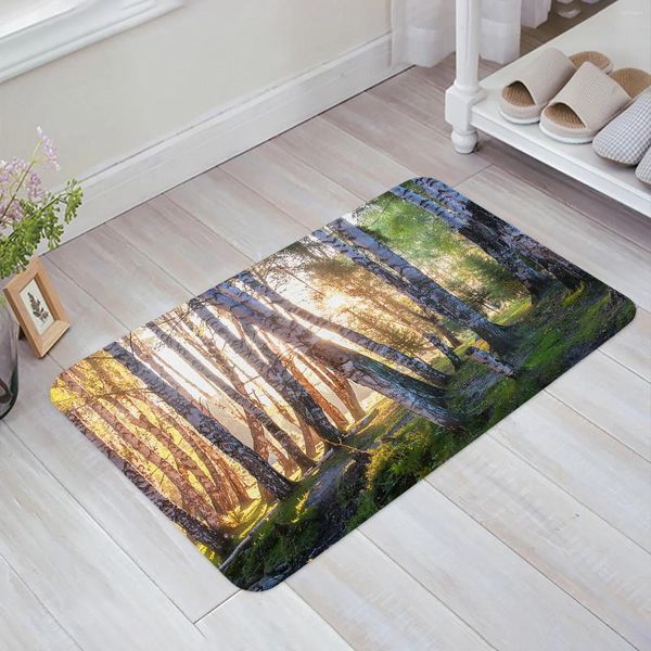 Tapis Bouleau Forêt Bois Tôt Le Matin Maison Paillasson Décoration Flanelle Doux Salon Tapis Cuisine Balcon Tapis Chambre Tapis De Sol