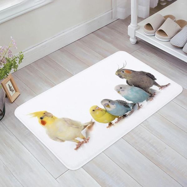 Carpets Bird Parrot Brigade Cuisine Mat de sol de salon décor de salon Carpet Home Homway Entrance Entrance Balcony Porte anti-glissement tapis