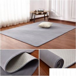 Tapis Tapis Salon Tapis Corail Polaire Canapé Table Basse Tapis Enfants Chambre Antidérapant Insonorisé Maison Gris Balcon Baie Fenêtre Ma Dh5Ho