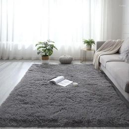 Carpets tapis de taille sur mesure du salon du tapis peluche de 4,5 cm de lit de lit pour salle de bain porte de salle de bain moderne tapis de chambre moderne