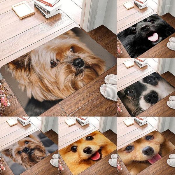 Alfombras Personalizable Perro Diversión Pug Schnauzer Cocina Sala de estar Alfombra Dormitorio Balcón Entrada antideslizante Puerta de entrada Piso