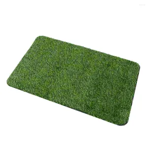 Tapijten deurmat tapijt tegels huisvloer decor decor bodem gras keuken vloer word vloerkleed badkamer