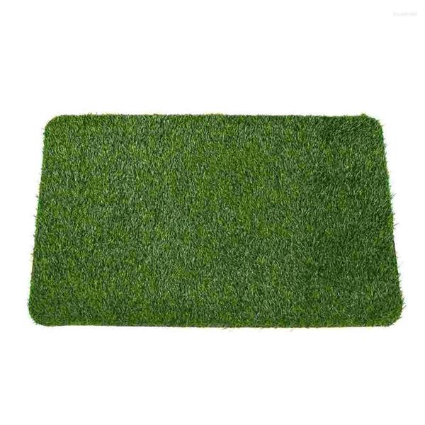 Alfombras Mat de puerta falsa Piso de baño Decorativo Garra de césped Anti-Slip Natural Carpeta para el hogar