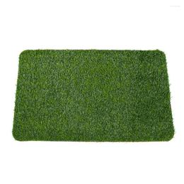 Tapis de porte antidérapant, tapis de sol pour la maison, coussin de pied, sol décoratif pour pelouse, antidérapant