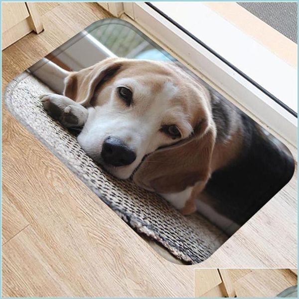 Alfombras Franela Lindo Mascota Perro Entrada Felpudo Antideslizante Sala de estar Baño Cocina Alfombra 40X60 cm Alfombras para niños Dormitorio Mat Drop Del Dhsak