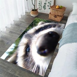 Tapijten grappige wasbeer vloer vloerkleed flanel voor woonkamer moderuimte tapijten anti slip keuken mat huis deco dropcarpets