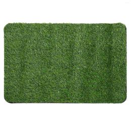 Carpets Grass Mat artificiel peluche tapis en peluche Porte verte Fibre de polypropylène (polypropylène)