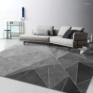 Tapis gris clair nordique style Instagram style cachemire épaissi salon tapis chambre canapé et table à thé tapis maison jetable