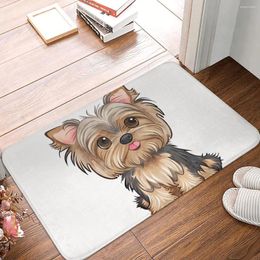 Carpets mini chien Doge Bath tapis tapis à la maison Balcon de la cuisine de cuisine à la maison
