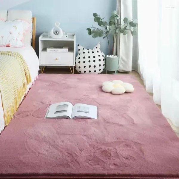 Carpets en peluche couvre-lit canapé salon