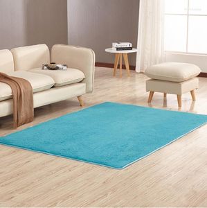 Tapis Shorthair corail velours tapis tapis de Yoga ramper salon sol Table basse Pad chambre couverture lit tapis Doo