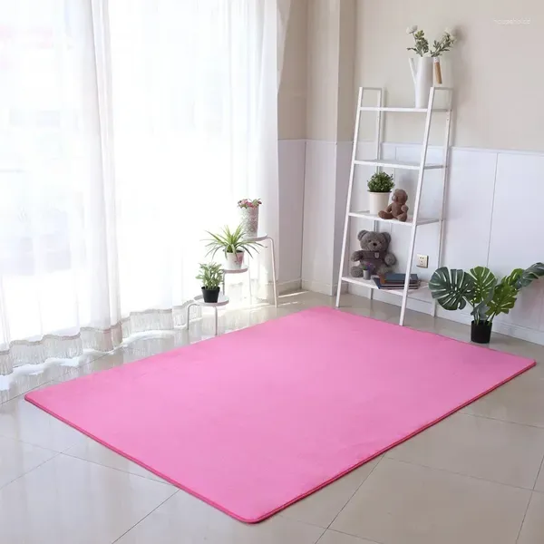 Carpets Simple Coral Living Room Carpet canapé-sol