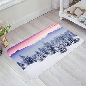 Carpets Snow Mountain Kitchen Floor Mat de sol décor de salon Carpet Home Homeway Entrance Paillante Balcony Porte anti-glissement