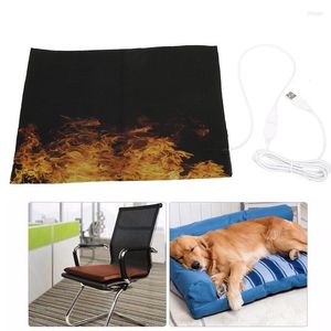 Tapis USB couverture électrique en Fiber de carbone chauffage oreiller tapis Pad Film pour animaux de compagnie hiver infrarouge fièvre tampons pour les maux de dos