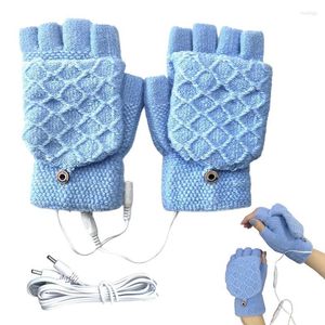 Tapis USB gants chauffants électriques main chaude chauffage coupe-vent mitaines tricotées pour le ski en plein air équitation cyclisme 2 côtés