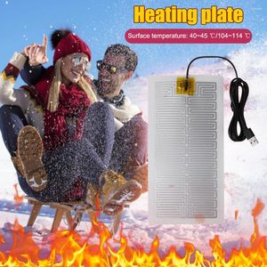 Carpets USB Massage chauffé chauffage portable 5v Filage de chauffage Plugle et jouer aux feuilles plus chaudes d'hiver