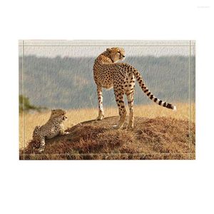 Tapis décor d'animaux sauvages Safari léopard mère et fils debout sur des tapis de bain de prairie paillasson antidérapant tapis de porte d'entrée