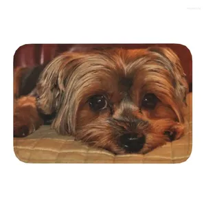 Tapijten Yorkshire Terrier Yorkie Hond Voordeurmat Antislip Sneldrogend Binnendeurmat Keuken Balkonkleed Woonkamer Entreetapijt