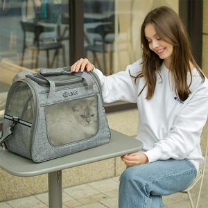 Sac à dos de Transport souple pour chien et chat, sac de voyage pour animaux de compagnie, petit Transport approuvé par la compagnie aérienne