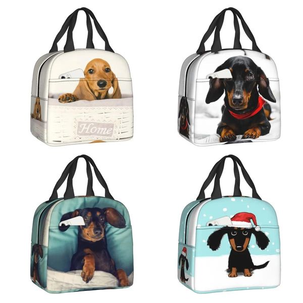 Carrier Cute Dachshund Dog Bolsa de almuerzo con aislamiento térmico Mujeres Salchicha Wiener Badger Dogs Lunch Tote para niños Escuela Niños Caja de comida