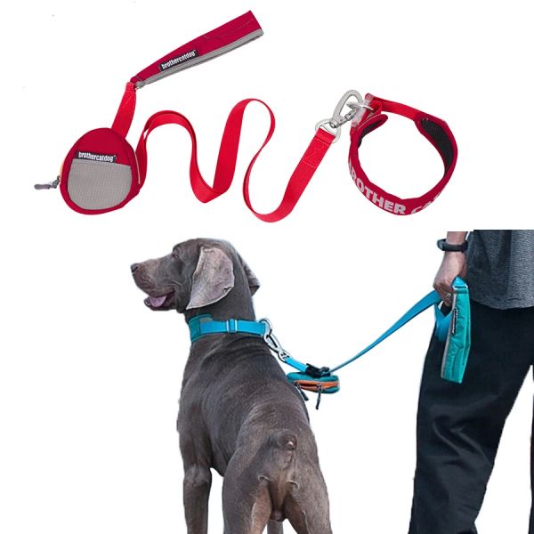 Laisse de transport souple pour chien, collier de sécurité réfléchissant en Nylon, laisses durables et robustes pour animaux de compagnie avec sac à merde, fournitures pour animaux de compagnie