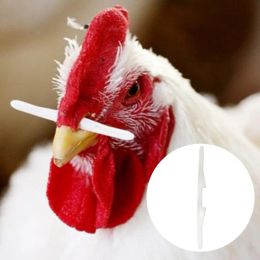 Transporteurs 1000 pièces boulon de nez de poulet efficace empêcher le coq de manger tige nasale en plastique bâton de frappe pour la décoration de la volaille