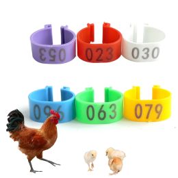 Portadores 100 unids/bolsa avicultura pollo ganso pato anillo de pie Color plástico para identificar capa de plástico parrilla con número 001100