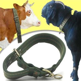 Transporteurs 1 pièce, bétail, mouton, chien, chèvre, âne, cheval, vache, ceinture en toile, collier solide et Durable, cravate d'assurage, équipement vétérinaire