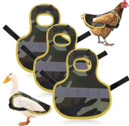 Carriers 6 / 3pc Hen Gilet Réflexion Gitre Poulet Réglable Poultry Night Night Protective Vêtements Hen Saddle Tablier Plug