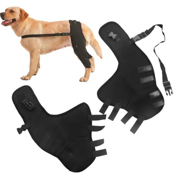 Supports de jambe de chien, attelle de soutien de jambe arrière, genouillère, soutien articulaire, attelle de hanche de chien, attelle de genou de jambe arrière, protège les blessures, prévient les blessures