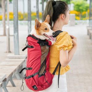 Sac à dos de transport pour gros chien, voyage en plein air, pour petits, moyens et grands chiens, chat, étanche, Double sac à bandoulière, transportant des fournitures pour animaux de compagnie