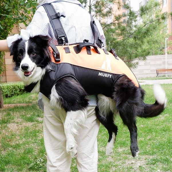 Transporteurs pour animaux de compagnie moyen grand chien sac à dos multifonctionnel sac aéroporté Double bandoulière extérieur marcheur civière handicapé grand chien