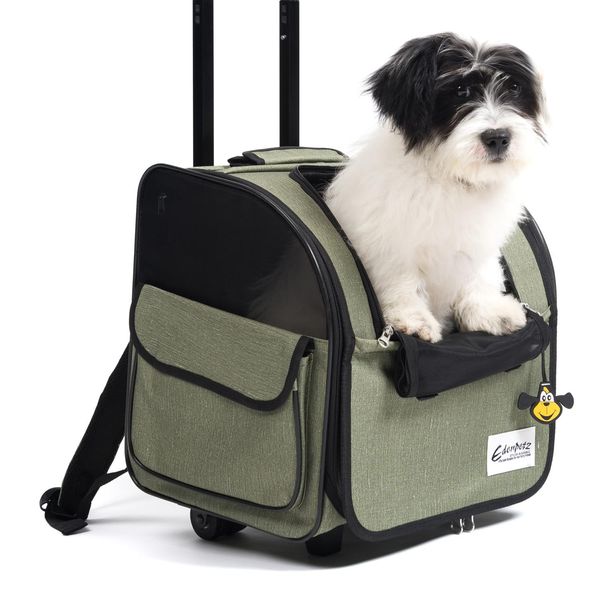 Transportadores para mascotas, cochecito plegable con ruedas, mochila para equipaje, jaula para coche de viaje, carrito para perros, gatos, Gato, transportador de ruedas