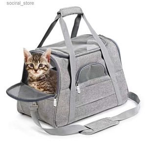 Transporteurs Slings Backpacks Pet Transport Portable Cat and Dog Outging Sags Sags Breathable Pet Car Carry Baging L45