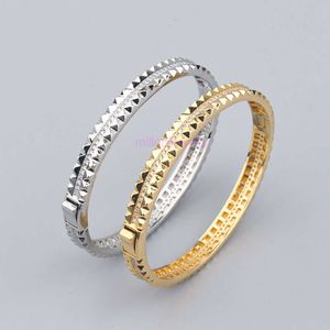 Schroefarmband Carter Netwerk Rode diamantvormige micro -set armbandring 925 zilveren dames temperament klein vers licht luxe sieraden