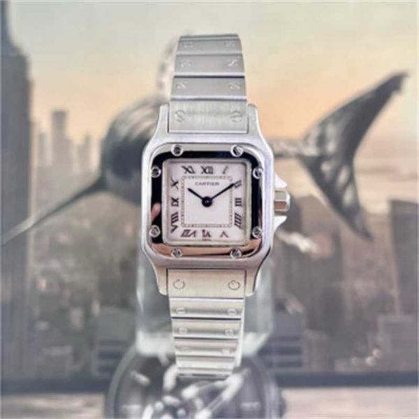 Carters Relojes de lujo Carters reloj para mujer serie Sandoz Santos 24 mm de diámetro reloj de cuarzo de acero de precisión W20056D6