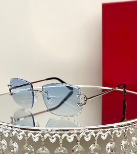 Carti Designer Zonnebrillen voor Heren Mode Gradiënt Zonnebril Eenvoudig Groot Vierkant Gouden Frame UV400 Strand Rijden Sport Show Brillen Lunettes