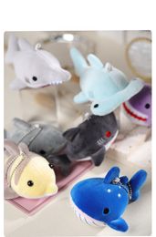 Dessin animé Ocean Animal Whale Shark Plux Toy Shark Doll Presfing Bed Doll Wedding Birthding Birthday Gift Girl