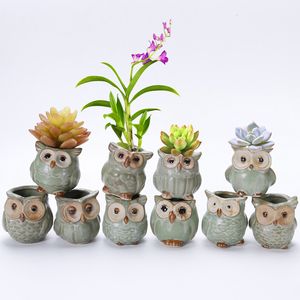 Dessin animé hibou en forme de pots de fleurs plantes succulentes pot de fleurs en céramique Mini accessoires pour la maison jardin bureau hibou pot de fleurs décoration BH2356 ZX