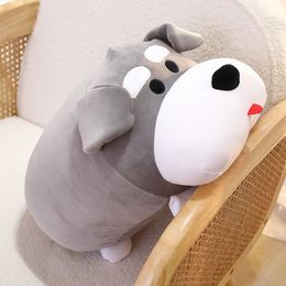 Cartoon Schnauzer Dog Plush gooien kussenspeelgoed schattig knuffel dikke puppy pop animatie zachte bank kussen thuiskamer decoratie speelgoed 240424