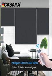 Casaya Aangepaste gemotoriseerde jaloezieën daglicht en black -out elektrische jaloezieën Oplaadbare buisvormige motor Smart blinds voor Home Office T1501465